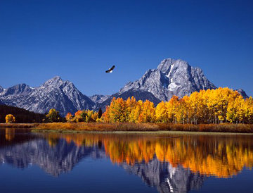 High Noon on the Oxbow Bend Eagle and Osprey - Super Huge Panorama - Thomas Mangelsen High Noon on the Oxbow Bend Eagle and Osprey - Super Huge Panorama - Thomas Mangelsen