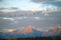 Autumn Passage - Tetons Panorama by Thomas Mangelsen - 1 Autumn Passage - Tetons Panorama by Thomas Mangelsen - 1