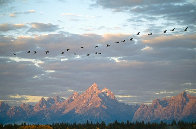 Autumn Passage - Tetons Panorama by Thomas Mangelsen - 0 Autumn Passage - Tetons Panorama by Thomas Mangelsen - 0