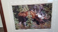 Monarch of the Forest Panorama by Thomas Mangelsen - 3 Monarch of the Forest Panorama by Thomas Mangelsen - 3