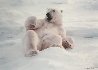 Feels Good Polar Bear Panorama by Thomas Mangelsen - 0