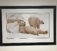 Bad Boys of the Arctic - Huge Panorama by Thomas Mangelsen - 1 Bad Boys of the Arctic - Huge Panorama by Thomas Mangelsen - 1