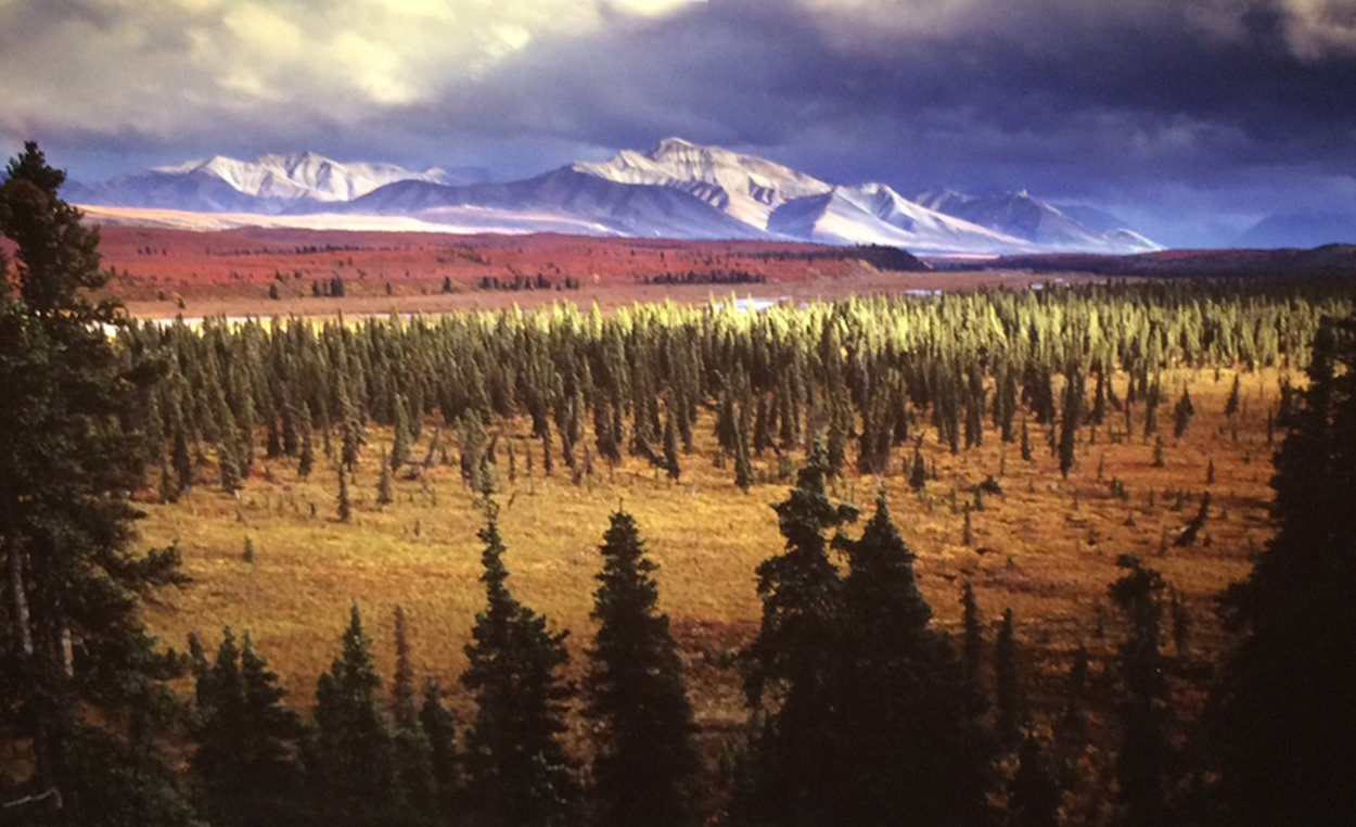 Season Passing Panorama by Thomas Mangelsen Season Passing Panorama by Thomas Mangelsen