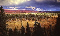 Season Passing Panorama by Thomas Mangelsen - 0 Season Passing Panorama by Thomas Mangelsen - 0