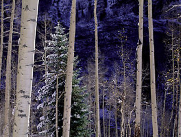 White River Aspens 2M Super Huge Panorama - Thomas Mangelsen White River Aspens 2M Super Huge Panorama - Thomas Mangelsen