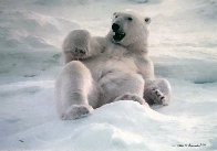 Feels Good - Polar Bear 1990 Panorama by Thomas Mangelsen - 0 Feels Good - Polar Bear 1990 Panorama by Thomas Mangelsen - 0