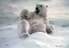 Feels Good - Polar Bear 1990 Panorama by Thomas Mangelsen - 0