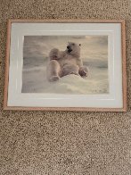 Feels Good - Polar Bear 1990 Panorama by Thomas Mangelsen - 1 Feels Good - Polar Bear 1990 Panorama by Thomas Mangelsen - 1