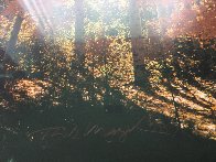 Fire of Autumn 1999 Panorama by Thomas Mangelsen - 2 Fire of Autumn 1999 Panorama by Thomas Mangelsen - 2