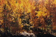Fire of Autumn 1999 Panorama by Thomas Mangelsen - 0 Fire of Autumn 1999 Panorama by Thomas Mangelsen - 0