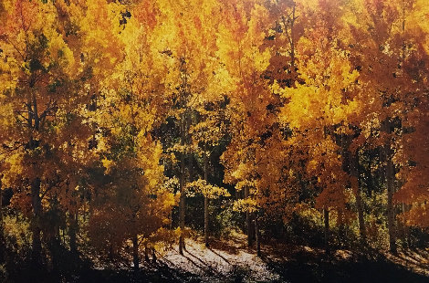 Fire of Autumn 1999 Panorama - Thomas Mangelsen