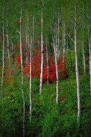 Colors of the Wasatch Panorama by Thomas Mangelsen - 0 Colors of the Wasatch Panorama by Thomas Mangelsen - 0