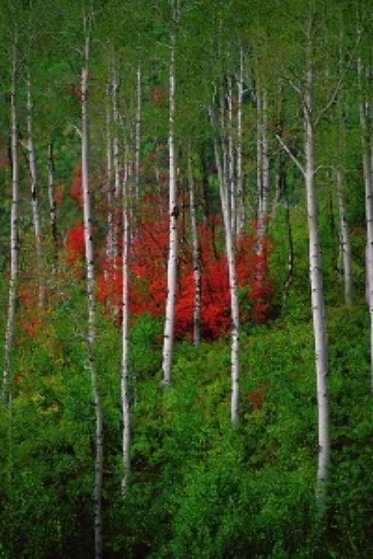 Colors of the Wasatch Panorama by Thomas Mangelsen Colors of the Wasatch Panorama by Thomas Mangelsen