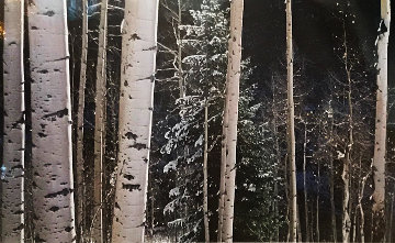 White River Aspens Panorama - Thomas Mangelsen White River Aspens Panorama - Thomas Mangelsen