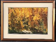 Fire of Autumn - Aspens Panorama by Thomas Mangelsen - 1 Fire of Autumn - Aspens Panorama by Thomas Mangelsen - 1