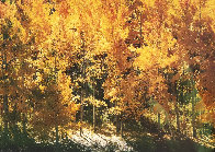 Fire of Autumn - Aspens Panorama by Thomas Mangelsen - 0 Fire of Autumn - Aspens Panorama by Thomas Mangelsen - 0
