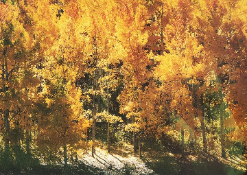Fire of Autumn - Aspens Panorama - Thomas Mangelsen Fire of Autumn - Aspens Panorama - Thomas Mangelsen
