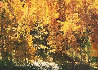 Fire of Autumn - Aspens Panorama by Thomas Mangelsen - 0