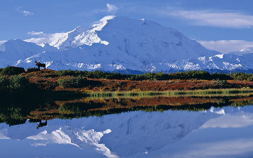 Reflections of Denali - Huge Panorama - Thomas Mangelsen Reflections of Denali - Huge Panorama - Thomas Mangelsen
