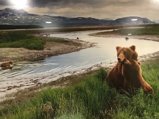 Bear River - Huge 1.5M Panorama by Thomas Mangelsen