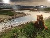 Bear River - Huge 1.5M Panorama by Thomas Mangelsen - 0