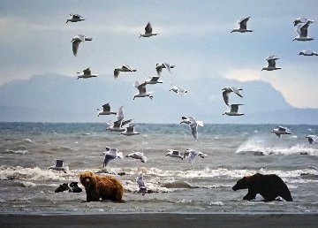 Bears With Gulls (Salmon Seekers) 2008 Panorama - Thomas Mangelsen Bears With Gulls (Salmon Seekers) 2008 Panorama - Thomas Mangelsen