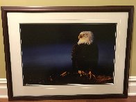 His Majesty - Bald Eagle 2000 Panorama by Thomas Mangelsen - 1