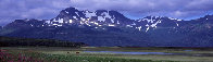 Glacier Travelers Brown Bears 2001 Alaska Panorama by Thomas Mangelsen - 0