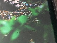 Light in the Forest 1998 Panorama by Thomas Mangelsen - 2 Light in the Forest 1998 Panorama by Thomas Mangelsen - 2