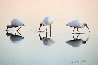 Gift of the Tides, White Ibis, Suite of 3 Framed Photographs Panorama by Thomas Mangelsen - 2