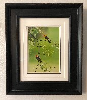 Spring Blossoms - Western Tanagers 2010 Panorama by Thomas Mangelsen - 1 Spring Blossoms - Western Tanagers 2010 Panorama by Thomas Mangelsen - 1