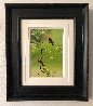 Spring Blossoms - Western Tanagers 2010 Panorama by Thomas Mangelsen - 1