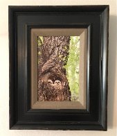 Cottonwood Hollow - Great Horned Owls 2015 Panorama by Thomas Mangelsen - 1 Cottonwood Hollow - Great Horned Owls 2015 Panorama by Thomas Mangelsen - 1