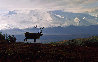 Caribou Country - Idaho Panorama by Thomas Mangelsen - 0