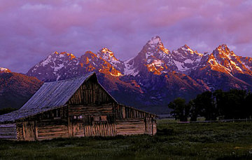 Teton Memories: The Moulton Barn Panorama - Thomas Mangelsen Teton Memories: The Moulton Barn Panorama - Thomas Mangelsen