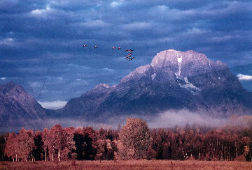 Changing Seasons 1993 Panorama - Thomas Mangelsen Changing Seasons 1993 Panorama - Thomas Mangelsen