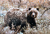 Autumn Grizzly Panorama by Thomas Mangelsen - 0