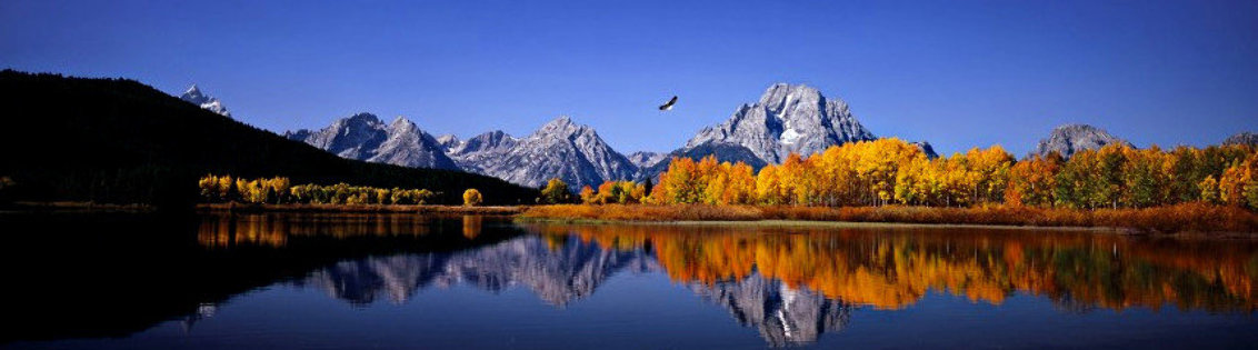 High Noon on the Oxbow Bend  2M Huge Mural Size - Wyoming,  Tetons Panorama by Thomas Mangelsen