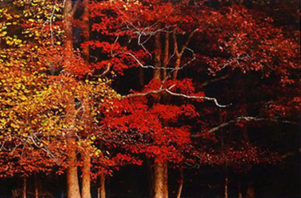 Colors of the Smokies - Super Huge Panorama by Thomas Mangelsen Colors of the Smokies - Super Huge Panorama by Thomas Mangelsen