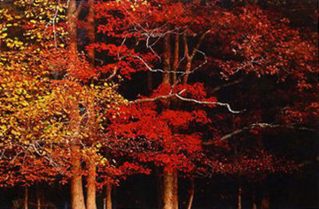 Colors of the Smokies - Super Huge Panorama - Thomas Mangelsen Colors of the Smokies - Super Huge Panorama - Thomas Mangelsen