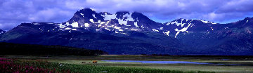 Glacier Travellers - Super Huge Panorama - Thomas Mangelsen Glacier Travellers - Super Huge Panorama - Thomas Mangelsen