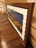 Treasures of Telluride - Colorado Panorama by Thomas Mangelsen - 3