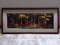 Among the Aspens Panorama by Thomas Mangelsen - 2 Among the Aspens Panorama by Thomas Mangelsen - 2