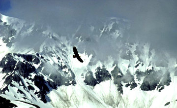 Among the Glaciers 1987 Panorama - Thomas Mangelsen Among the Glaciers 1987 Panorama - Thomas Mangelsen