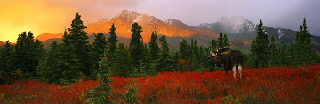 A Change of Seasons 1998 Panorama - Thomas Mangelsen A Change of Seasons 1998 Panorama - Thomas Mangelsen