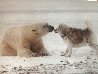 Polar Kiss Panorama by Thomas Mangelsen - 3