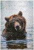 Morning Bath - Brown Bear Panorama by Thomas Mangelsen - 0