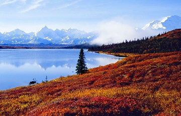 Shores of Wonder Lake Panorama - Thomas Mangelsen Shores of Wonder Lake Panorama - Thomas Mangelsen