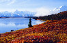 Shores of Wonder Lake Panorama by Thomas Mangelsen - 0