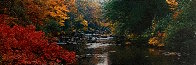 Whisper of Fall - Huge  Panorama by Thomas Mangelsen - 2